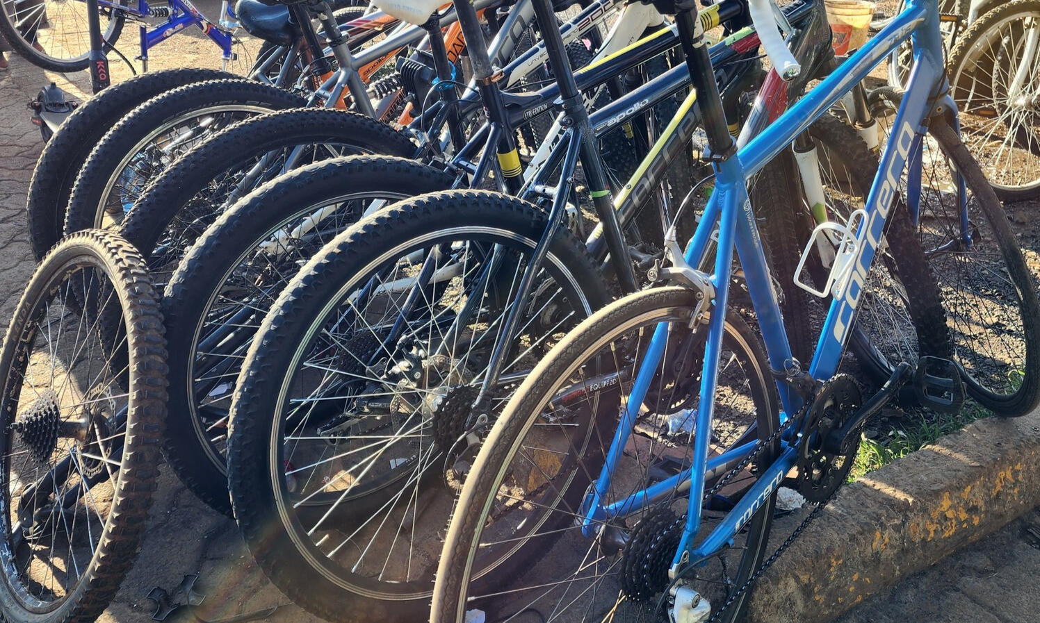 Bicycles for sale on display